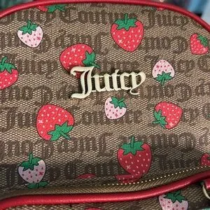 Juicy Couture | Bags | Nwt 79msrp Juicy Couture Brown And  display picture 1